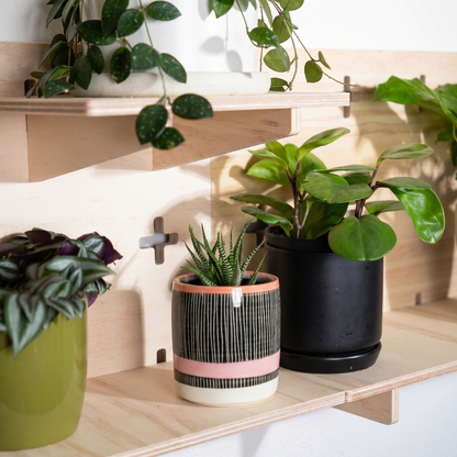 Shelfie Kit
