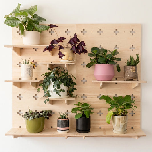 Shelfie Kit